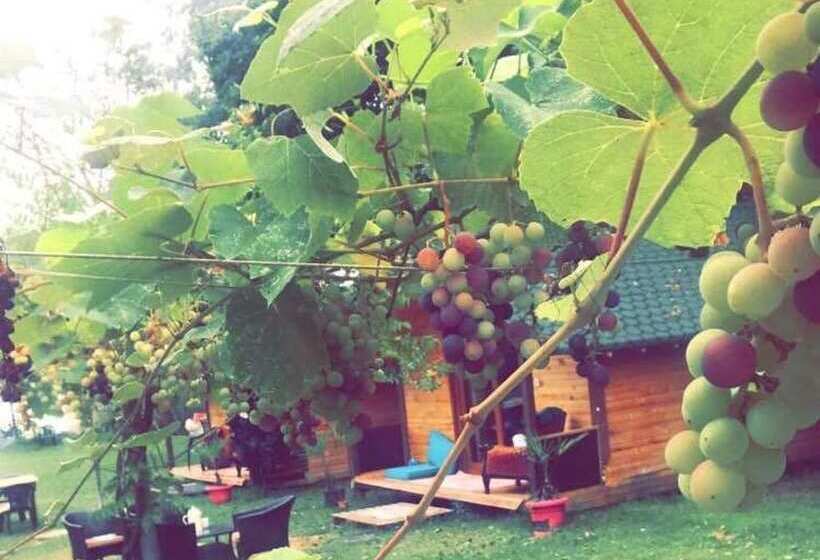 فندق Osso Garden Bungalow