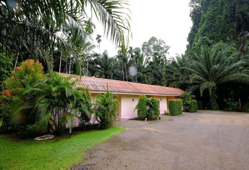 Отель Parattha Resort