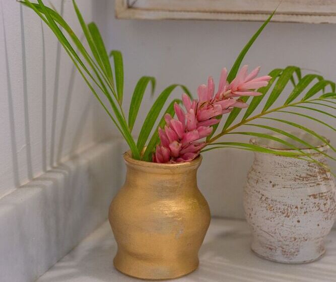 Отель Pariri Suites