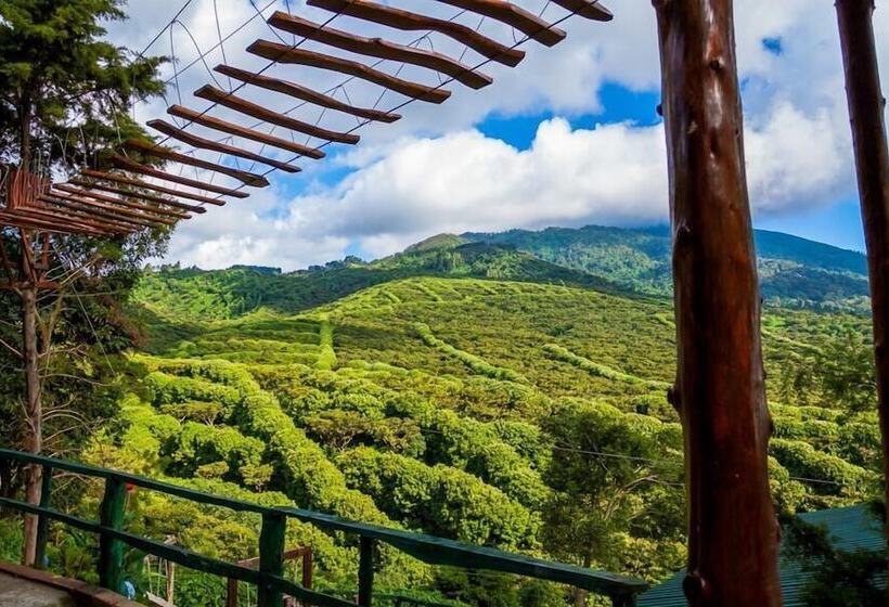 فندق Paso Del Alaska Resort