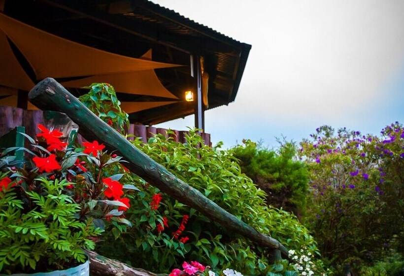 فندق Paso Del Alaska Resort