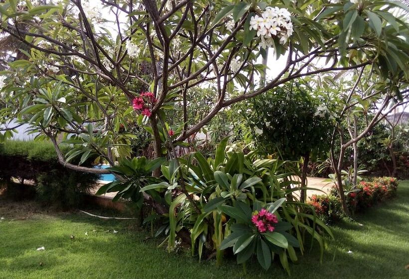 호텔 Pousada Ilha Verde