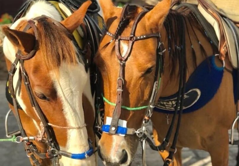 호텔 Pousada Vale Encantado