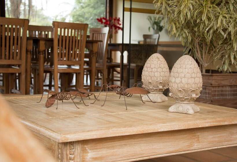 Отель Pousada Villa Saint Joseph