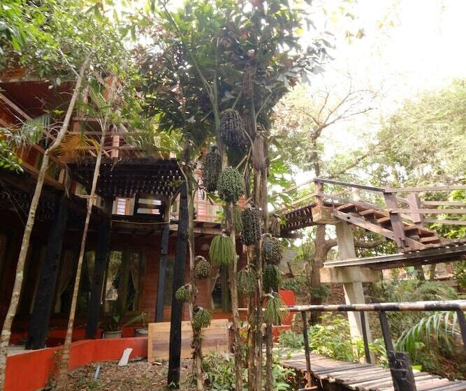 Отель P&p Coffee & Resort Maesariang