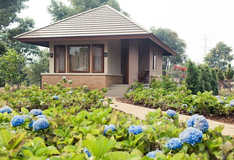 فندق Sabaidee Valley