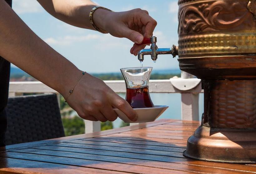 هتل Sapanca Villa Suite