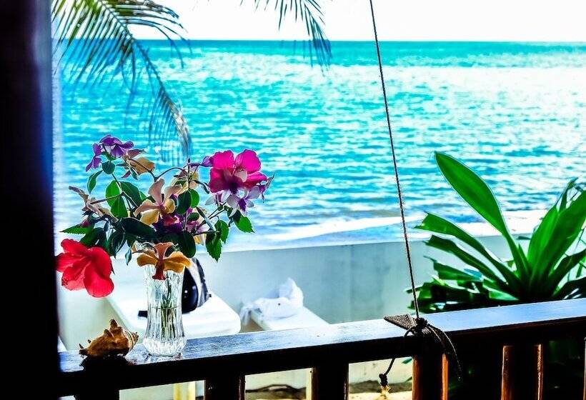 هتل Southern Leyte Divers