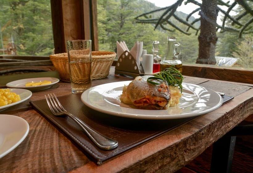 فندق Termas Malleco