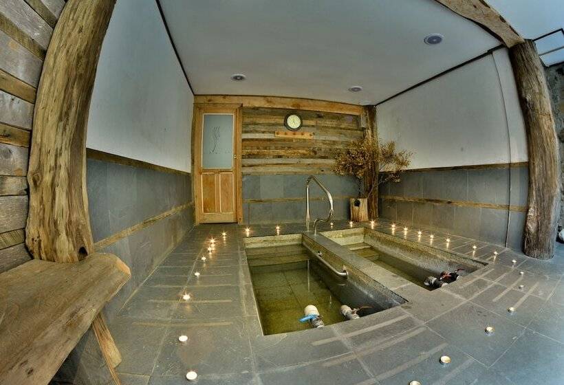 فندق Termas Malleco