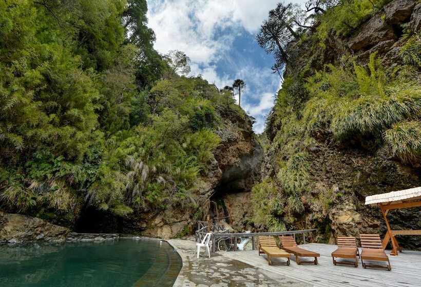 فندق Termas Malleco