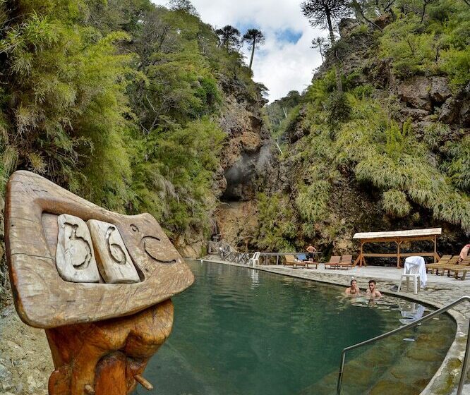 فندق Termas Malleco