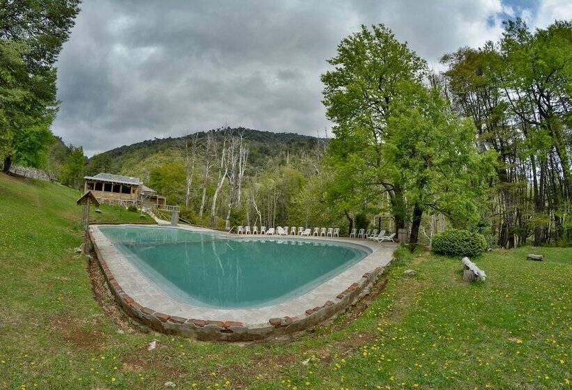 فندق Termas Malleco