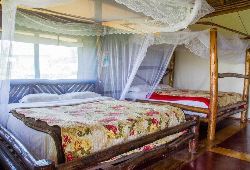 هتل The Baboon Safari Resort