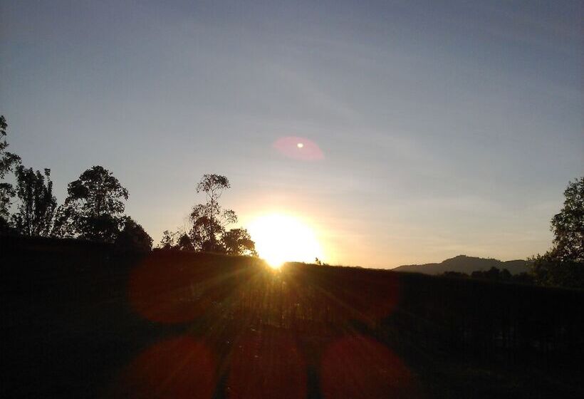 هتل The Crested Crane Bwindi