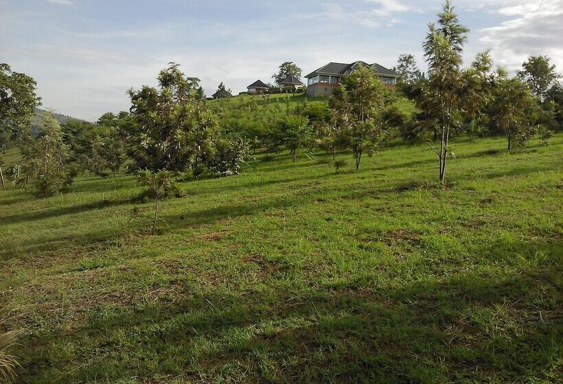 هتل The Crested Crane Bwindi