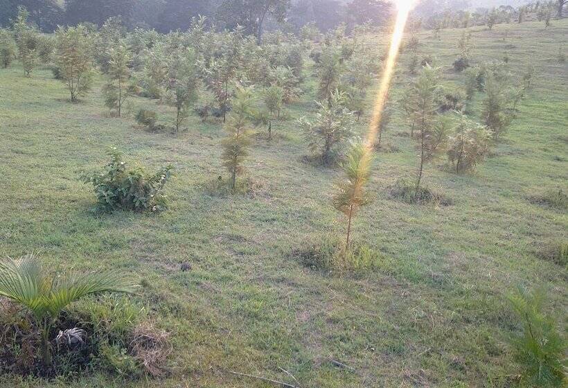 هتل The Crested Crane Bwindi