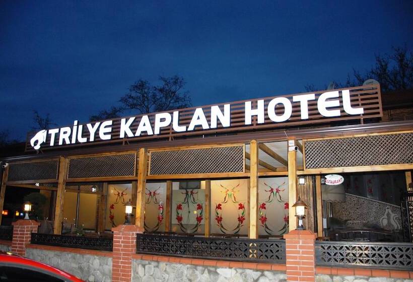 Отель Trilye Kaplan