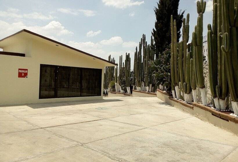 Lov Boutique Hotel Amaque