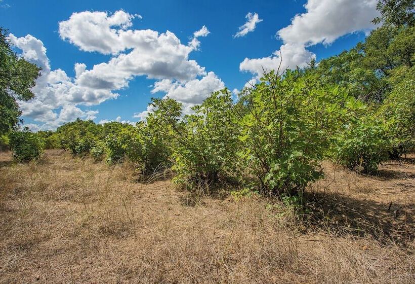 Mendelbaum Winery Guest Cabins