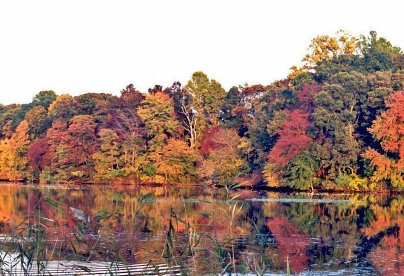 Miller Dunham House Bed & Breakfast