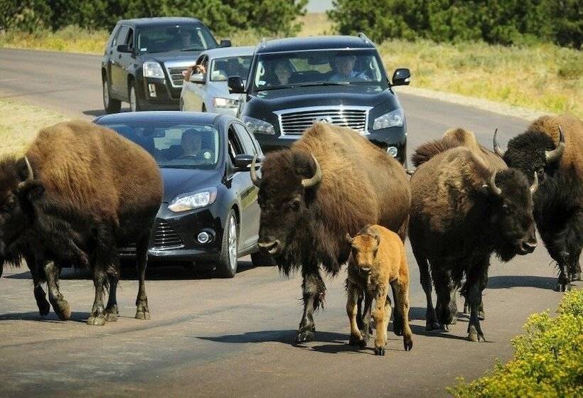 모텔 Rockerville Lodge & Cabins