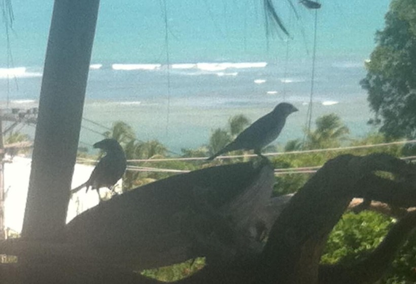 Novos Baianos Hostel E Suites