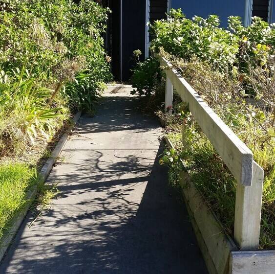 Ohiwa Beach Apartments Motel