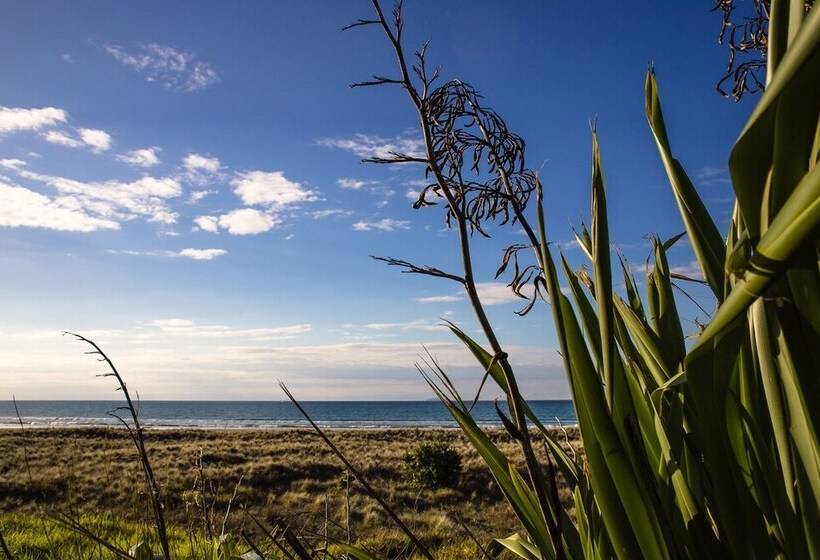 Ohiwa Beach Apartments Motel