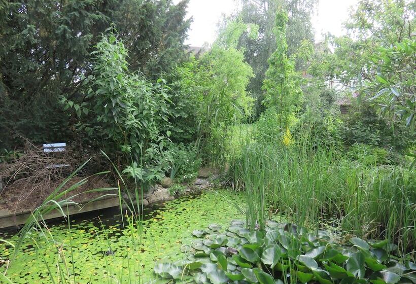 פנסיון Bed & Breakfast Erlach