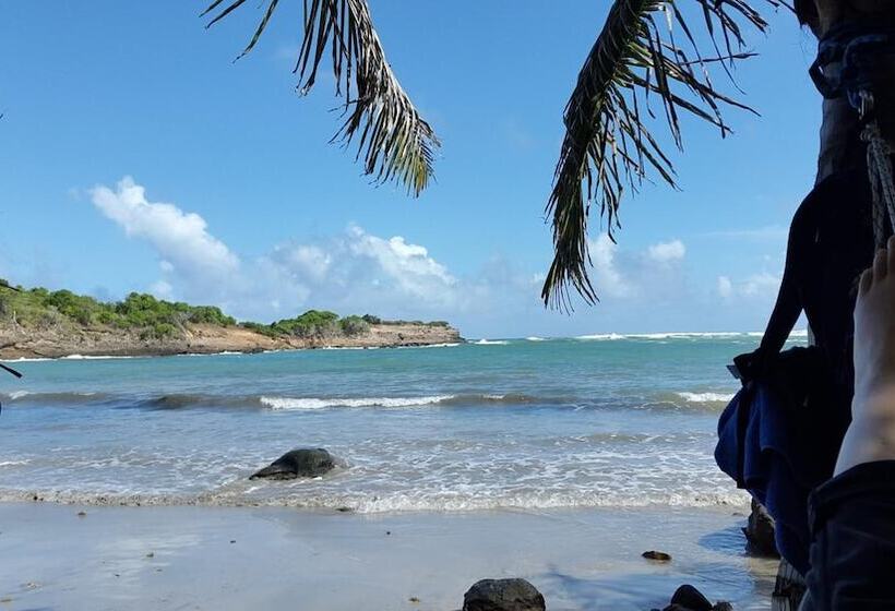 Пансион Big Sky Lodge