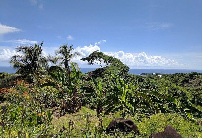 Пансион Big Sky Lodge