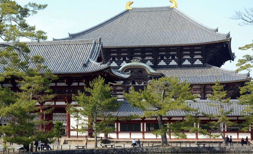 ペンション Cotton 100 Percent