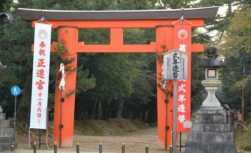 ペンション Cotton 100 Percent