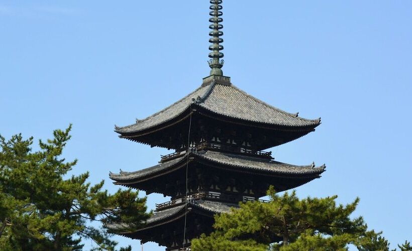 ペンション Cotton 100 Percent