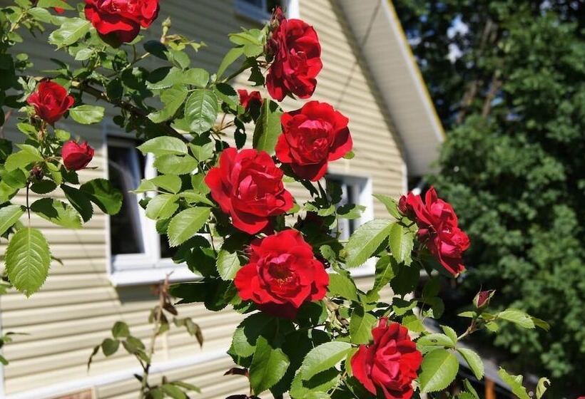 Пансион Country House Dom Solntsa