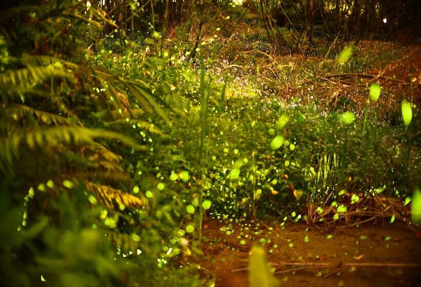 پانسیون Double Lake Villa