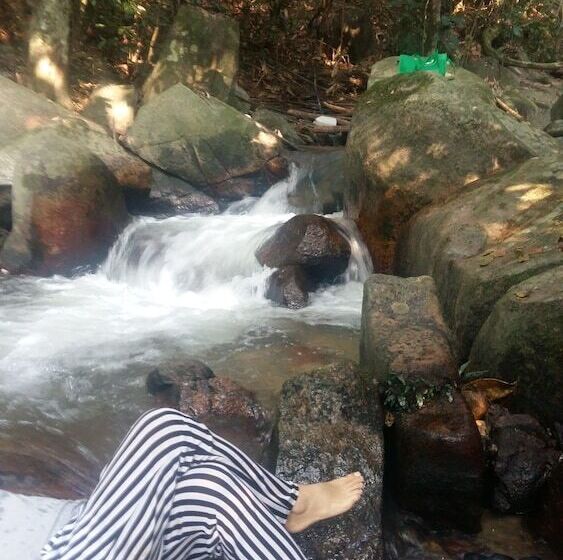 Пансион Drmind Farm