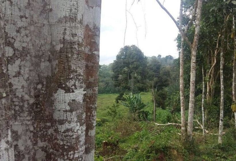 Пансион Drmind Farm