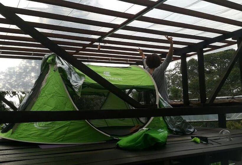 Пансион Drmind Farm