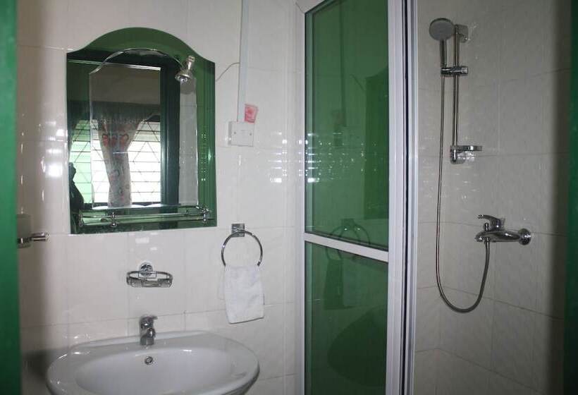 פנסיון Godville Guest House