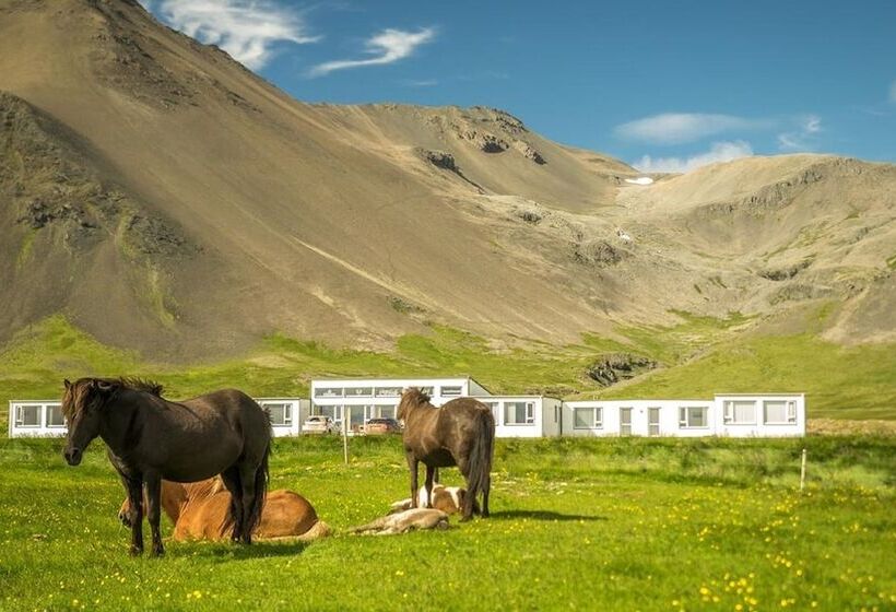 پانسیون Kast Guesthouse