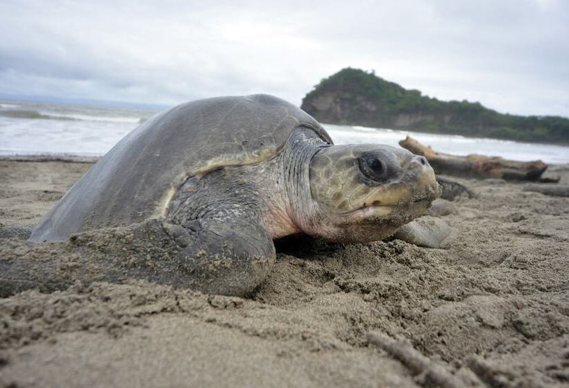 بنسيون La Veranera Guest House