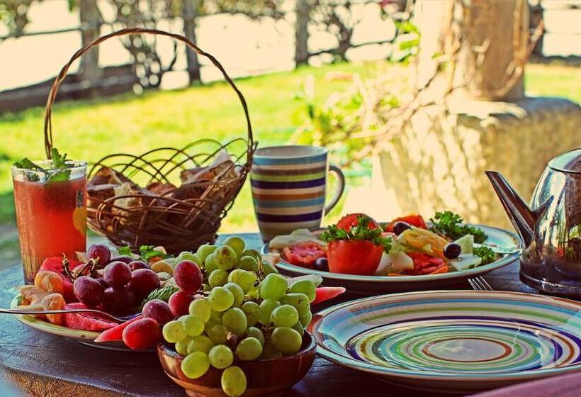 بنسيون La Veranera Guest House