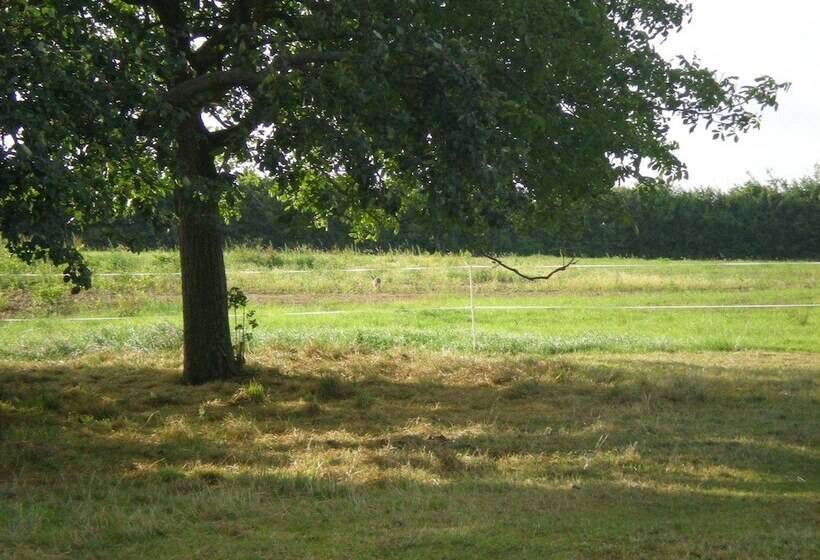 Пансион Lune Et Miel