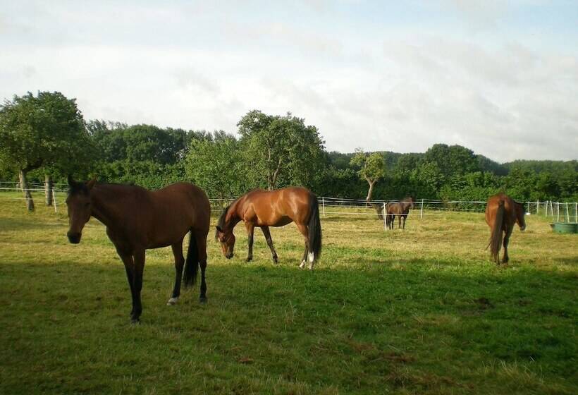 Пансион Lune Et Miel