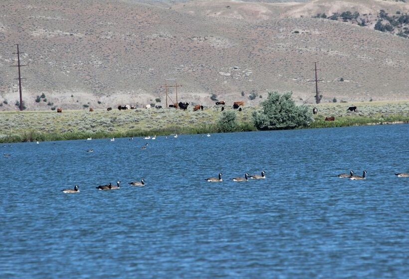 بنسيون Monster Lake Ranch