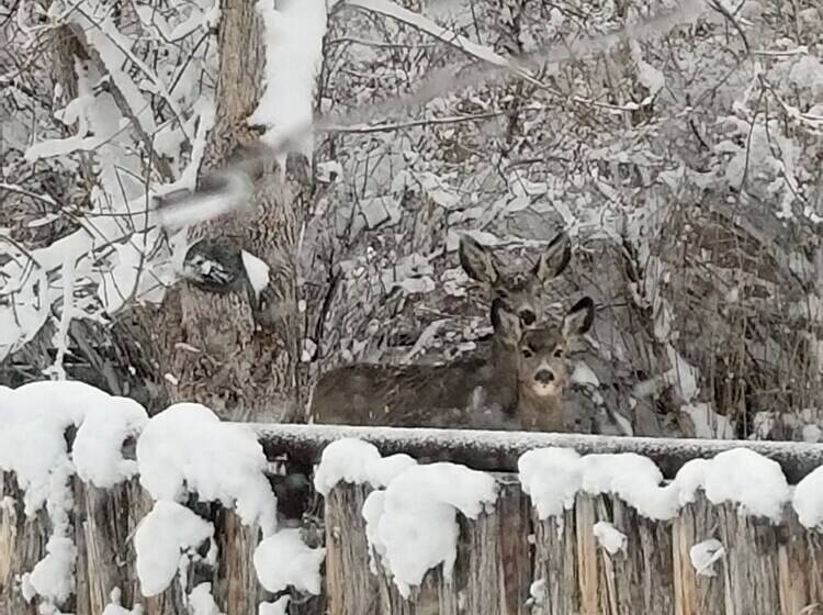 بنسيون Monster Lake Ranch
