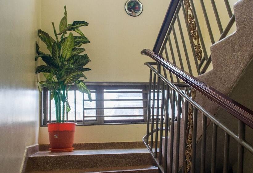 پانسیون Palace