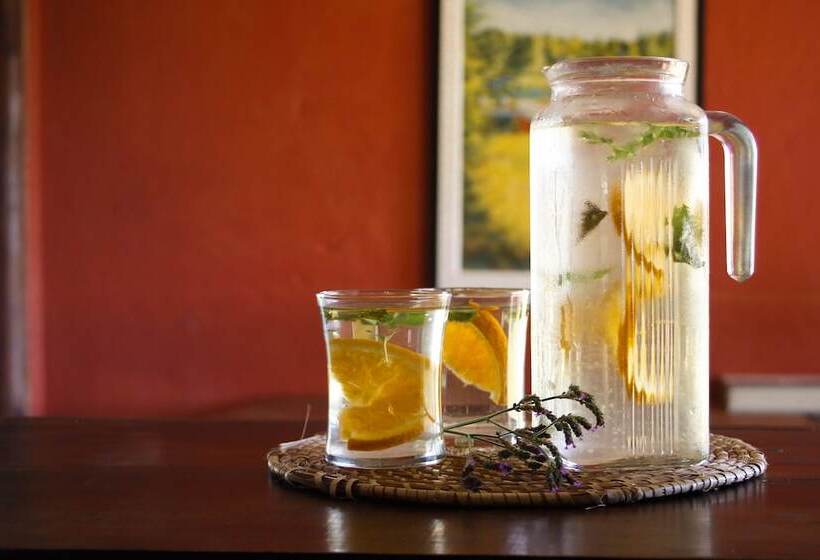 פנסיון Posada Jasy